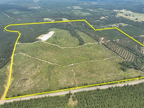 409 Acres, Highway 190, T-3, 287 : Woodville : Tyler County : Texas