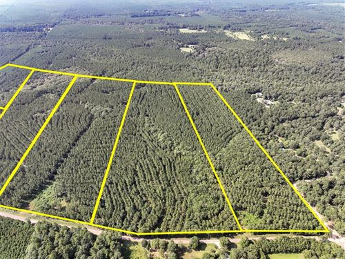 25 Acres, CR 1325, T-2, 285007 : Warren : Tyler County : Texas