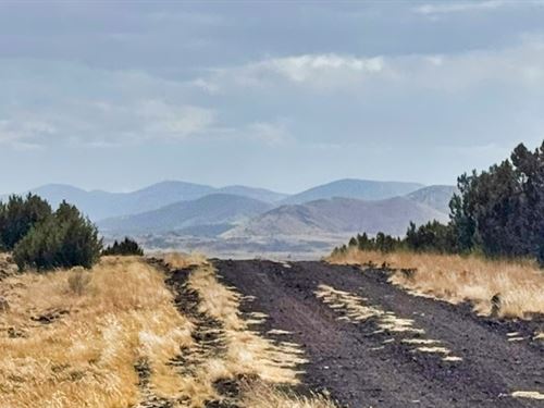 Elevated Plateau Gives 360 Views : Concho : Apache County : Arizona