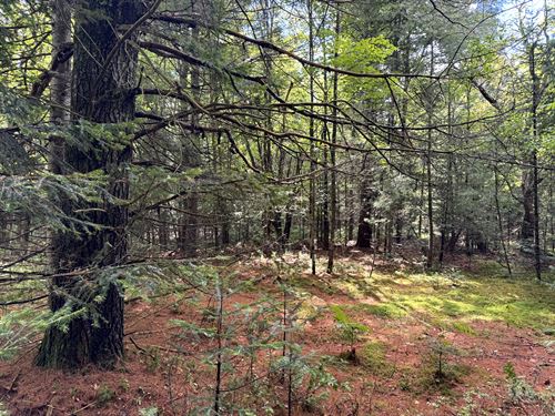 Southern Adirondacks : Ohio : Herkimer County : New York