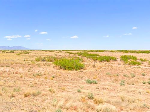 Serene Lot & Good Dirt Road Access : Deming : Luna County : New Mexico