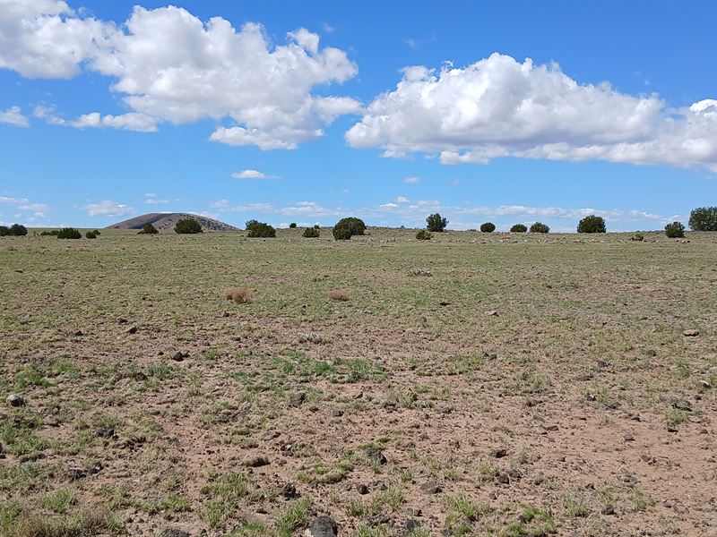 RV and Camp Under The Stars : Concho : Apache County : Arizona