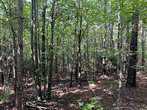 Lot 9 High Shoals Road : Anderson : South Carolina
