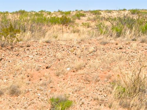 Affordable Level Lot, Power Nearby : Deming : Luna County : New Mexico