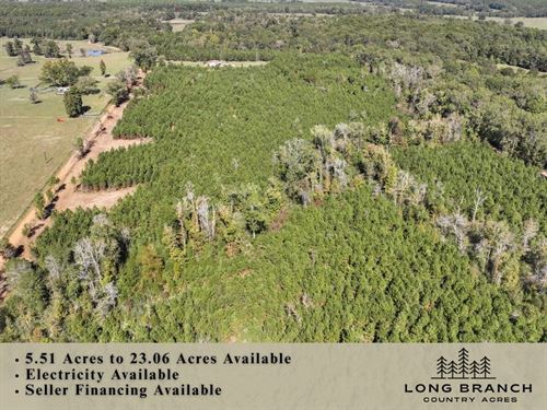 12.01 Acres, CR 3121, T-6 & T-7 : Long Branch : Panola County : Texas
