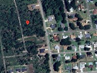 Hot Land Deal in Sebring $258/Mo : Sebring : Highlands County : Florida