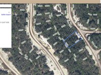 Easy Land, Easy Life $249 Down : Lake Placid : Highlands County : Florida