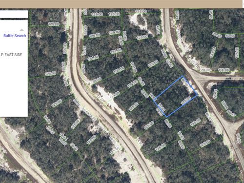 Easy Land, Easy Life $249 Down : Lake Placid : Highlands County : Florida