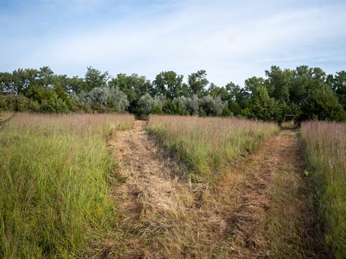 Platte River Sportsman's Paradise : Wood River : Hall County : Nebraska