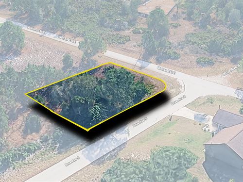 Hot FL Lot Deal : Lehigh Acres : Lee County : Florida