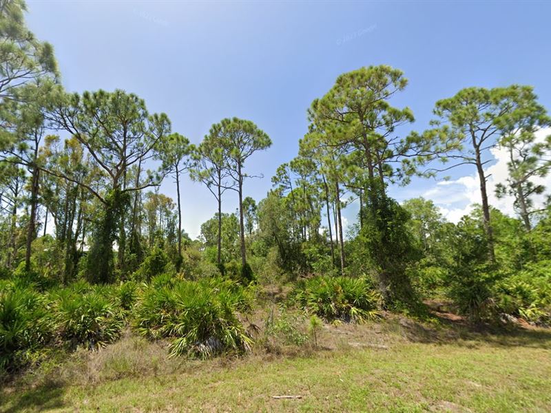 Sunshine State Lot Just $149 Down : Punta Gorda : Charlotte County : Florida