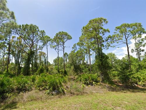 Sunshine State Lot Just $149 Down : Punta Gorda : Charlotte County : Florida
