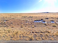 Water Rights and River Nearby : San Luis : Costilla County : Colorado