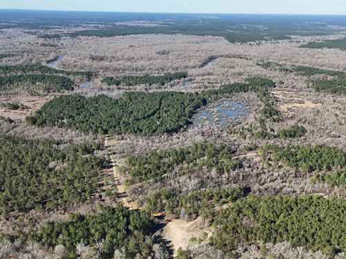 Duck, Deer, And Fishing Land For Sa : Trout : La Salle Parish : Louisiana