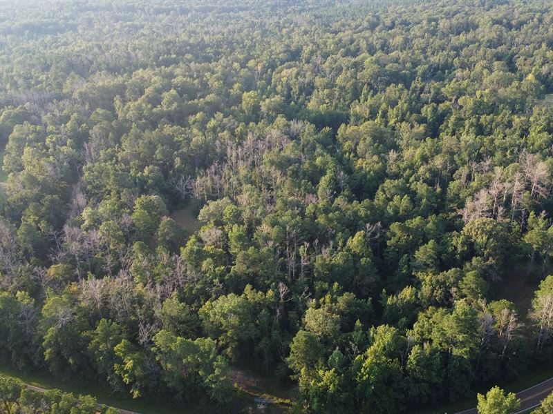 7.47 Acres in Copiah County, MS : Crystal Springs : Copiah County : Mississippi