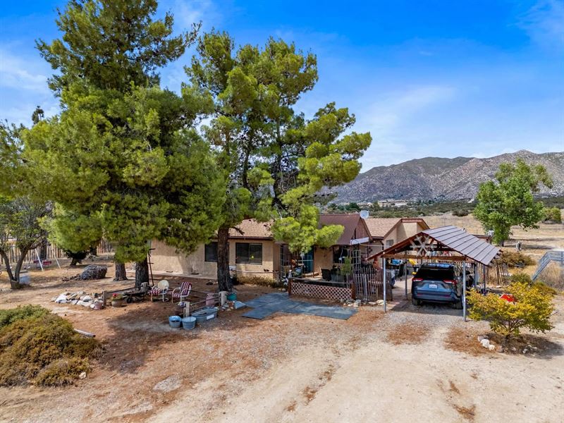 Daisy Patch Ranch : Ranchita : San Diego County : California