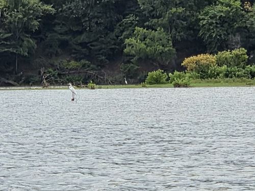 Egret Lake : Garvin : McCurtain County : Oklahoma