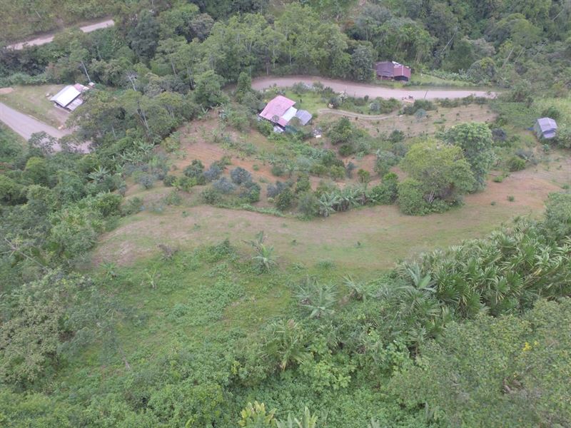 Avogana Ranch : Jicotea : Costa Rica