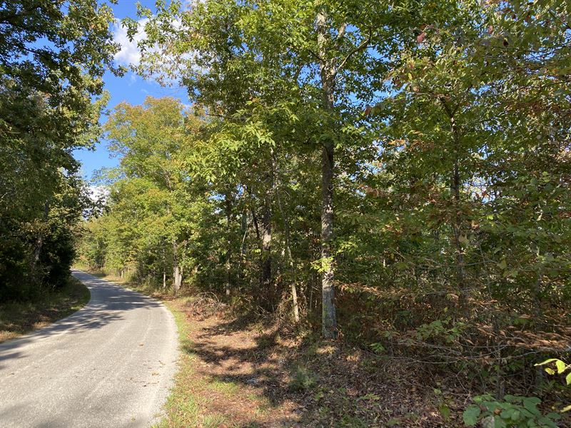 Hunting Land in TN with Creek : Waynesboro : Wayne County : Tennessee