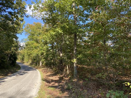 Hunting Land in TN with Creek : Waynesboro : Wayne County : Tennessee