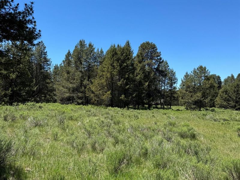 Eagle Mountain Paradise : Chiloquin : Klamath County : Oregon