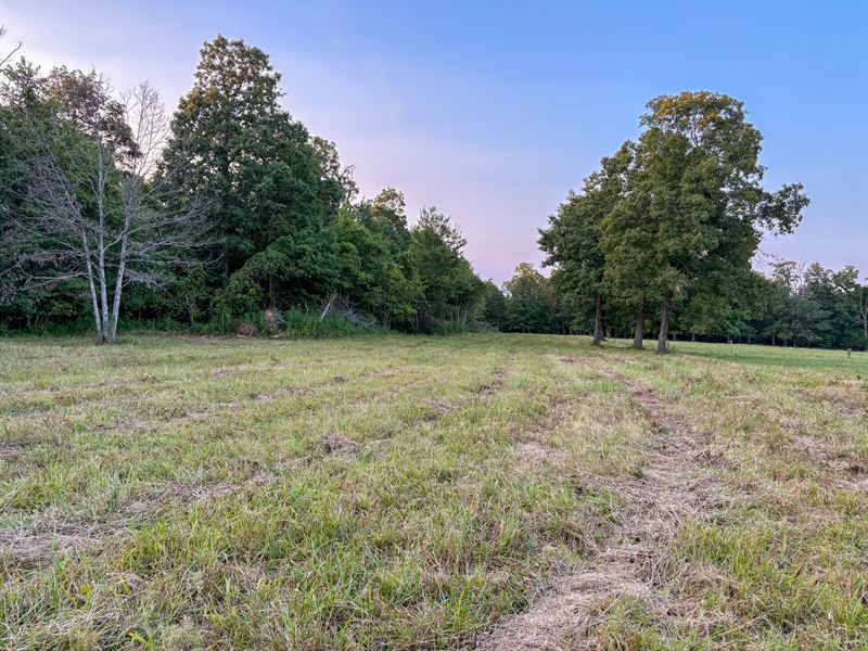 170 Acres in Leslie, Arkansas : Leslie : Van Buren County : Arkansas