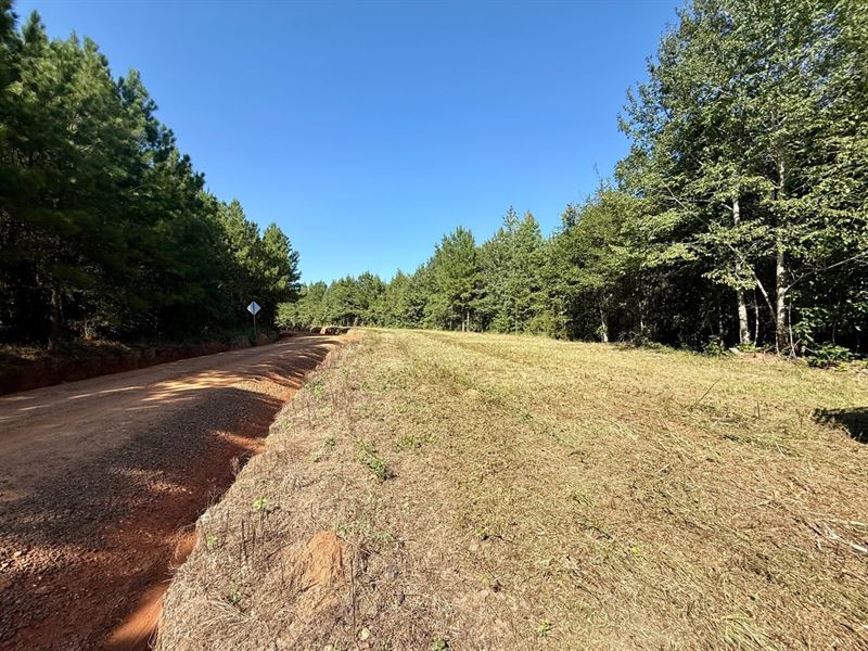 Tract B Holt Rd Houston Co : Elko : Houston County : Georgia