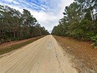 Power at Street, Low Taxes : Interlachen : Putnam County : Florida