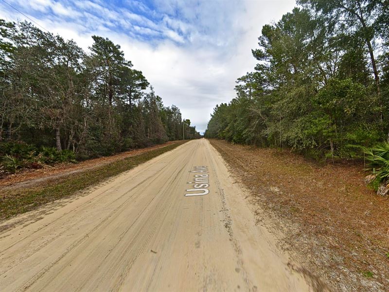 Power at Street, Low Taxes : Interlachen : Putnam County : Florida
