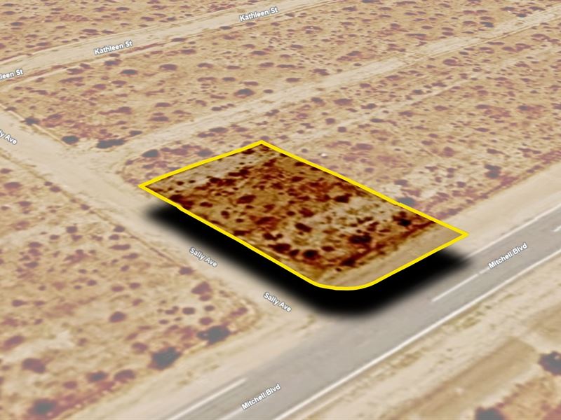 Paved Road Access Lot, $363.05 Down : California City : Kern County : California