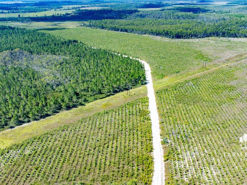 2,301 Ac Timber/Recreation Developm : Wewahitchka : Gulf County : Florida