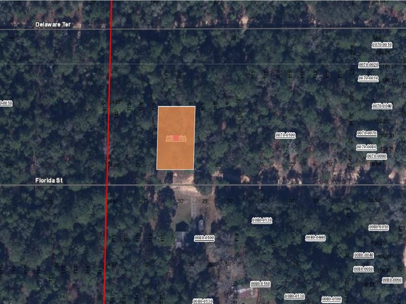 $149 Down Land, Power on Street : Interlachen : Putnam County : Florida