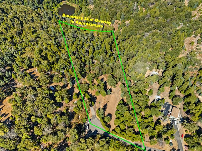 Palomar Mountain Hideaway : Palomar Mountain : San Diego County : California