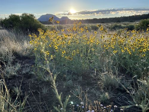 Sojourn Valley Ranch : Datil : Catron County : New Mexico