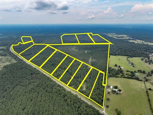 15 Acres, T-37, Highway 94, 4552 : Groveton : Trinity County : Texas