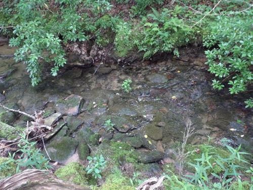 Mountain Views, Creek, Public Water : Evensville : Bledsoe County : Tennessee