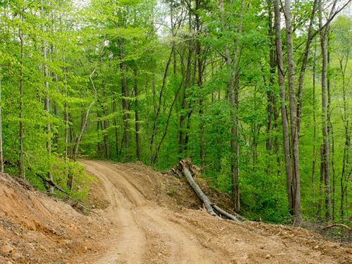 Own Off Grid Land Today, $499 Down : Mount Vernon : Rockcastle County : Kentucky