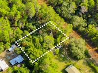 Peaceful Lot, Near Lake, $1 Down : Interlachen : Putnam County : Florida