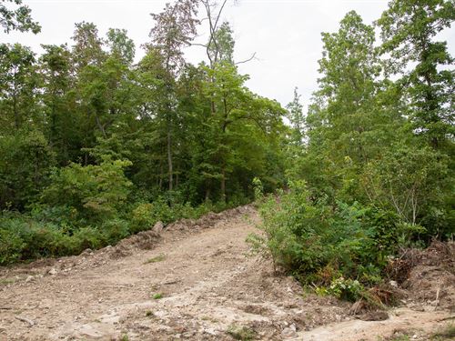 Will Not Last, $999 Down : Birch Tree : Shannon County : Missouri