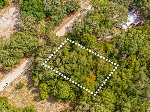 Peaceful Parcel, Near Lake, $1 Down : Interlachen : Putnam County : Florida