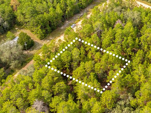 Shaded Lot, No HOA, $1 Down : Interlachen : Putnam County : Florida