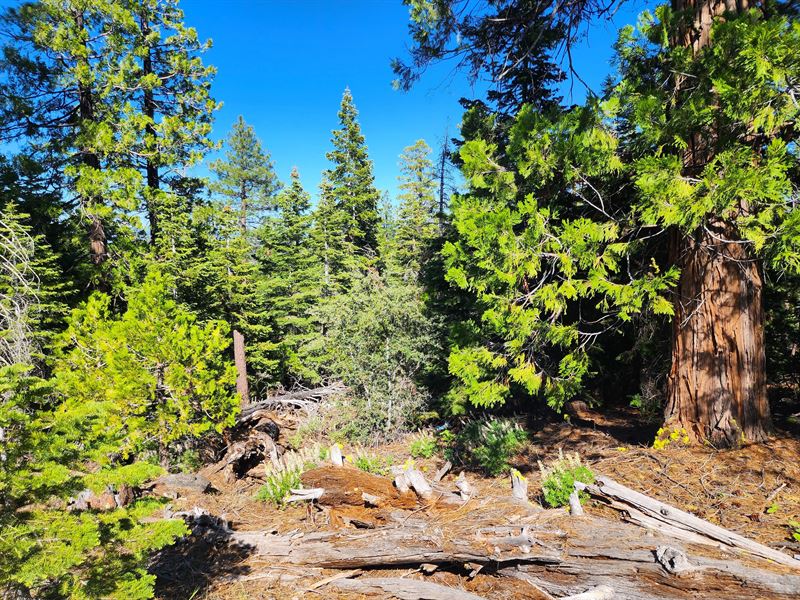Residential for Mobile & Tiny Home : Alturas : Modoc County : California