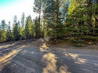 Retire in Mountain with Great View : Alturas : Modoc County : California