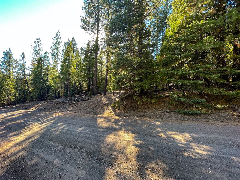 Retire in Mountain with Great View : Alturas : Modoc County : California