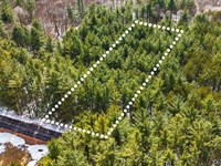 Shaded Lot, No HOA, Owner Financing : Lowville : Lewis County : New York