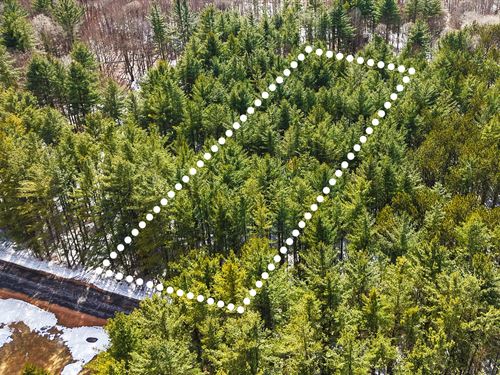 Shaded Lot, No HOA, Owner Financing : Lowville : Lewis County : New York