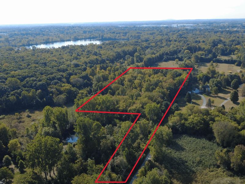 Milford Township, W. Maple Road : Milford : Oakland County : Michigan
