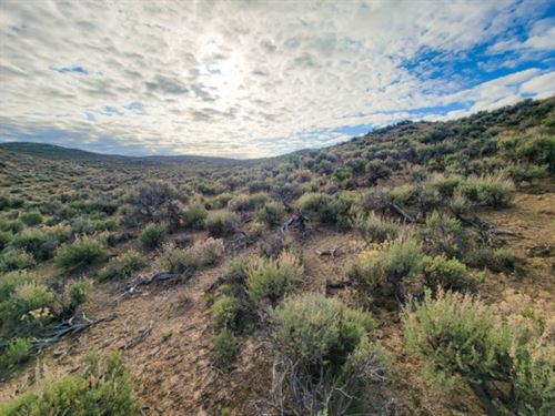 Your Mountain Oasis Awaits : Elko : Nevada
