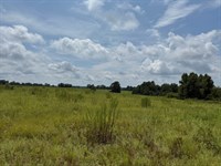 The Right Twenty Five Acres : Clopton : Barbour County : Alabama