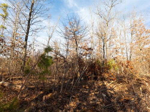 $499 Down Available Raw Land : Hartshorn : Texas County : Missouri